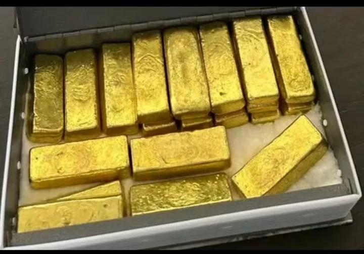 Gold bars arranged in a grey case